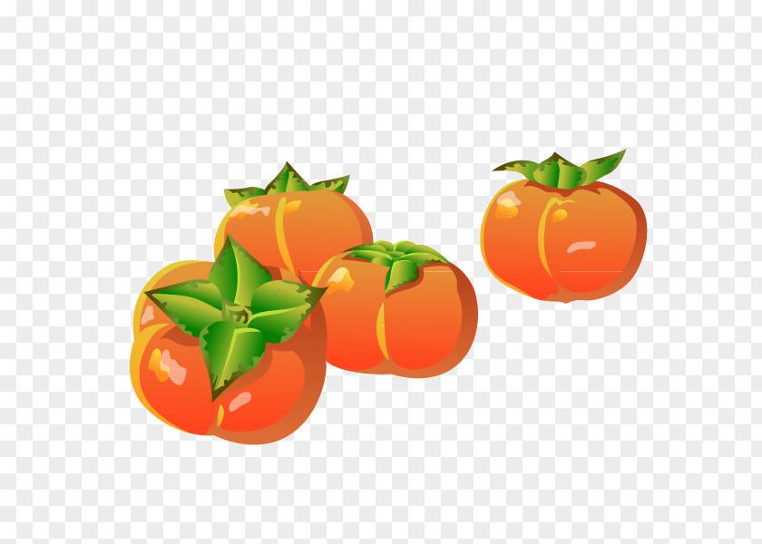 Persimmon Vector Cartoon Material Food Euclidean PNG