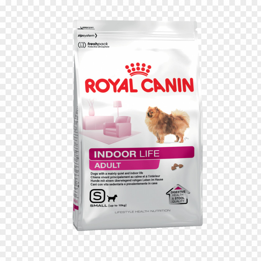 Puppy Royal Canin Chihuahua Dog Food Horse PNG