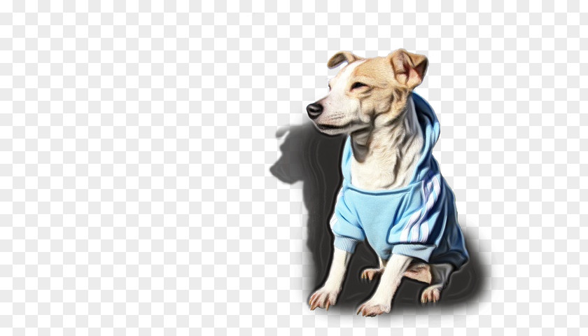 Puppy Sighthound Dog Cartoon PNG