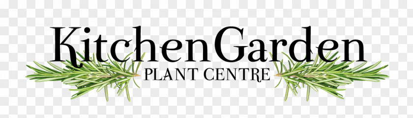 Garden Plant Herb Logo Brand Grasses Font PNG