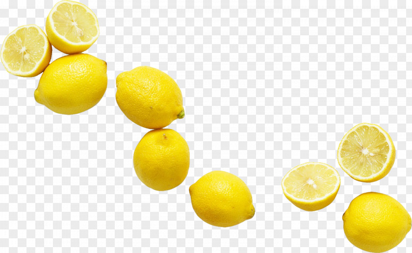 Lemon White Slices Free To Pull Logo PNG