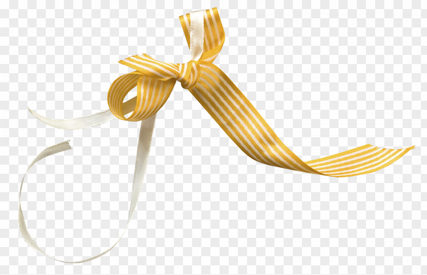 Striped Ribbon Gift PNG