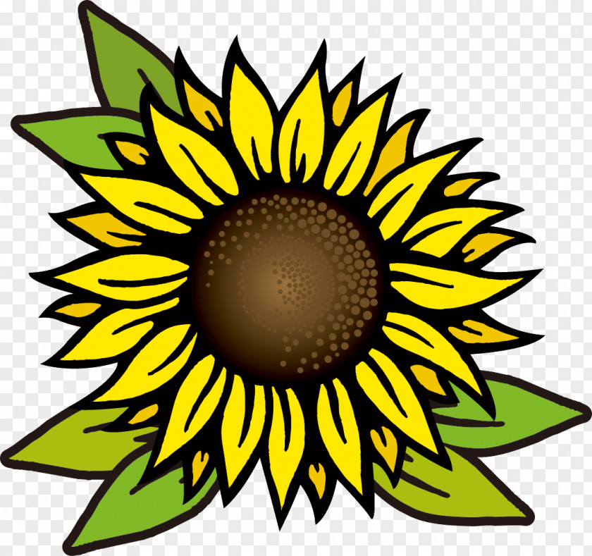 Sunflower Vector Common Royalty-free Drawing PNG