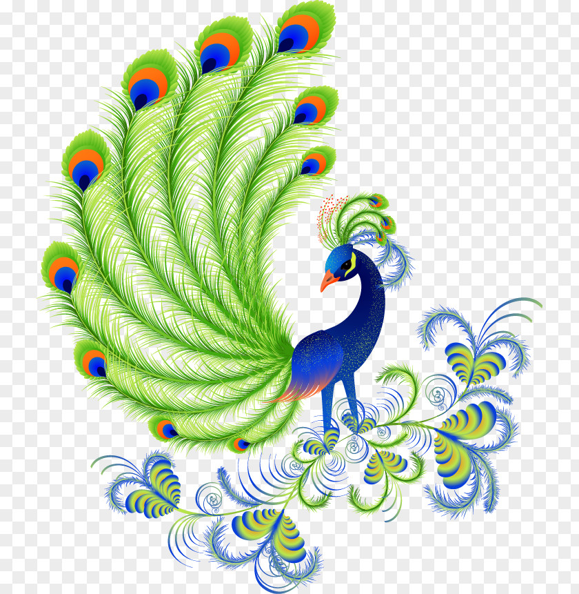 Cartoon Beautiful Hand-painted Peacock Peafowl Free Content Clip Art PNG