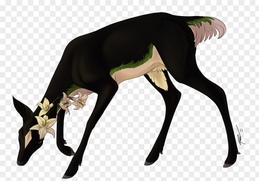 Dog Canidae Neck Mammal Wildlife PNG