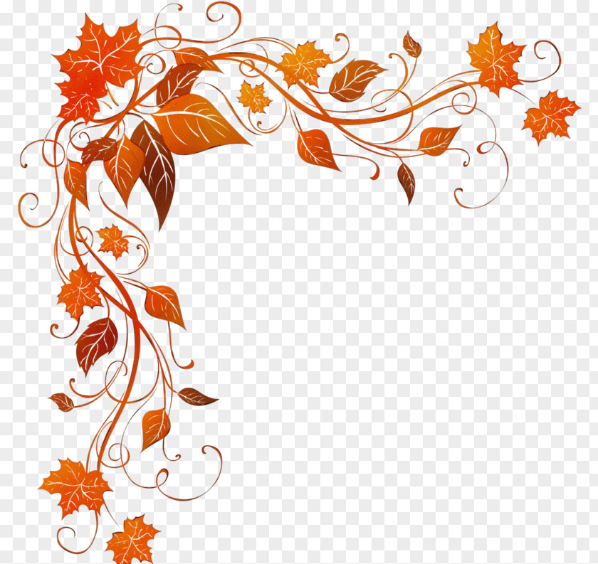 Floral Design Ornament PNG