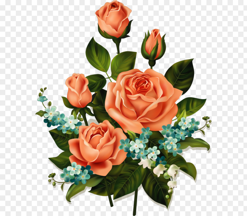 Flower Bouquet Floral Design Clip Art Rose PNG
