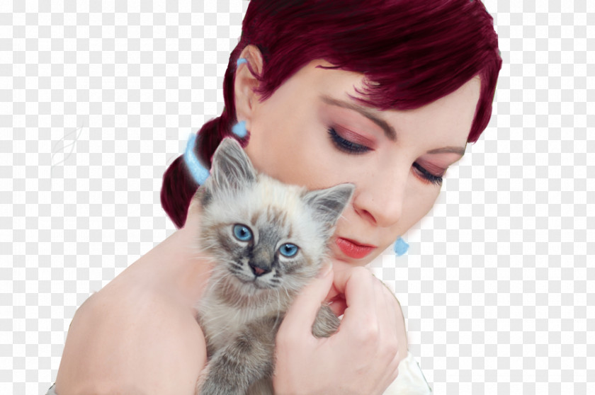 Kitten Whiskers Cat Eye Ear PNG