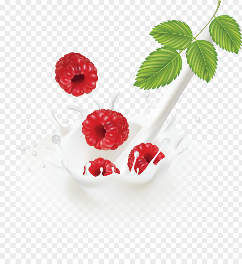 Raspberry Milk Cranberry Fruit PNG