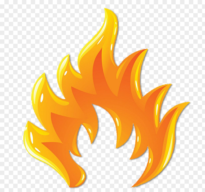 Flame Vector Graphics Clip Art Image Illustration PNG