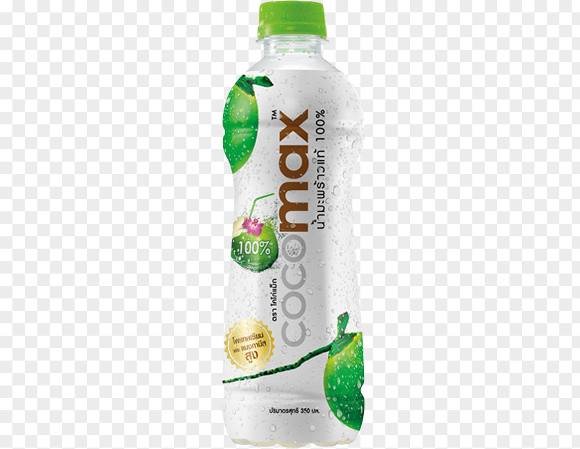 Juice Coconut Water Smoothie Nata De Coco Thailand PNG