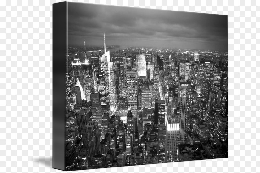 Skyline New York Pennsylvania Graphic Print Ape White Sheer Fabric PNG