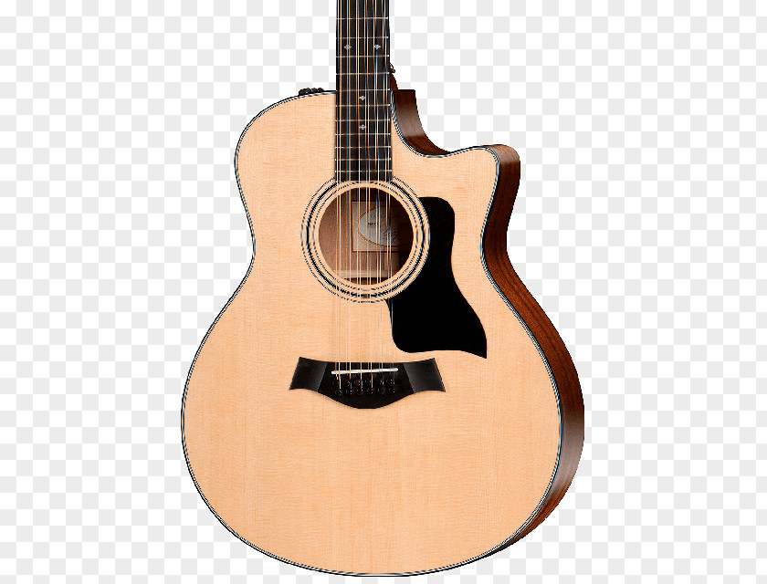 Acoustic Gig Acoustic-electric Guitar Steel-string Taylor Guitars PNG