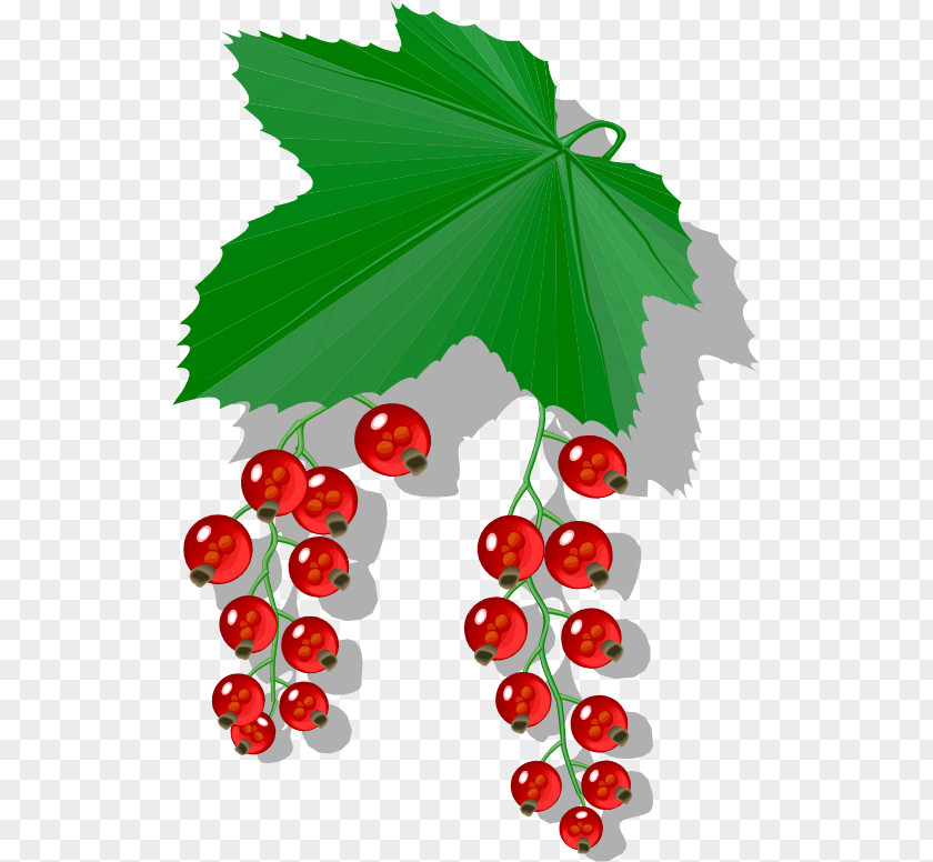 Berries Berry Redcurrant Food Blackcurrant Clip Art PNG