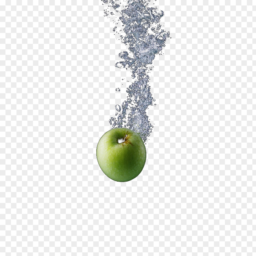 Green Apple Fruit PNG