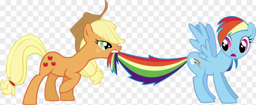 My Little Pony Rainbow Dash Applejack Pinkie Pie Fluttershy Rarity PNG