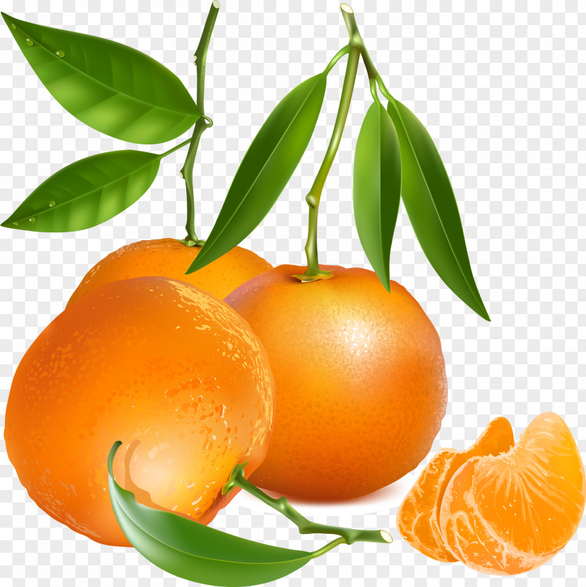 Orange Tangerine Mandarin PNG