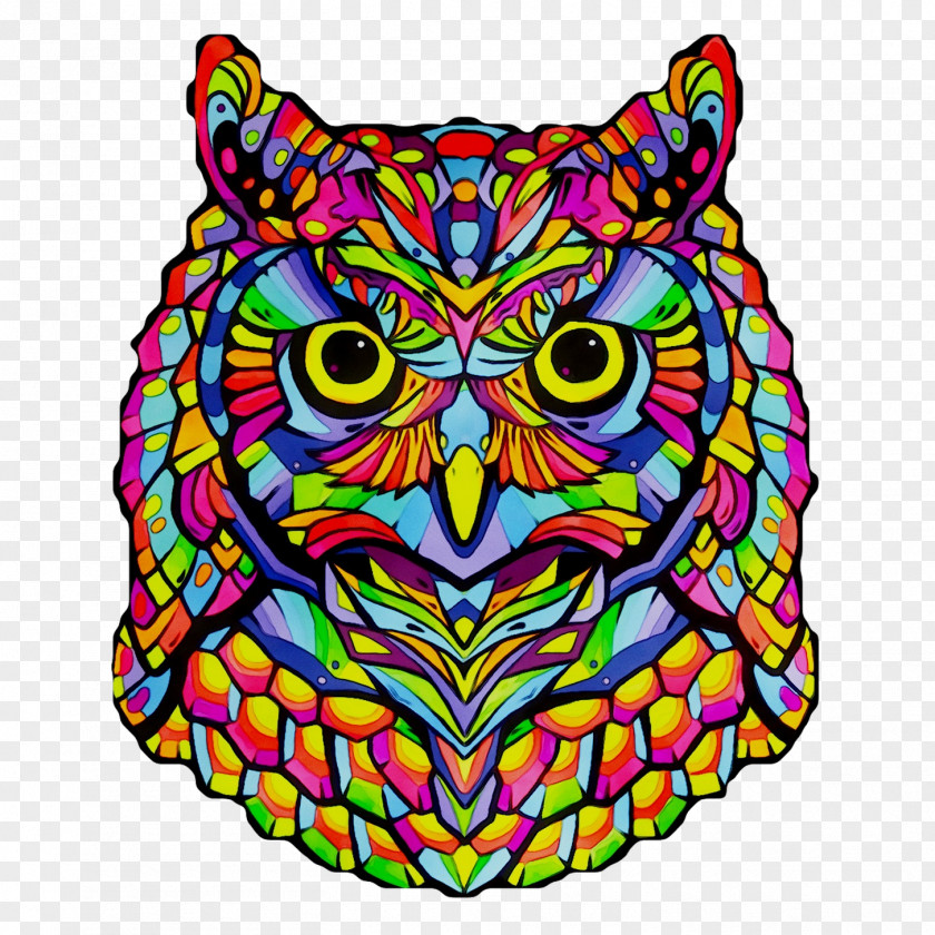 Owl Bird Image Beak Photography PNG