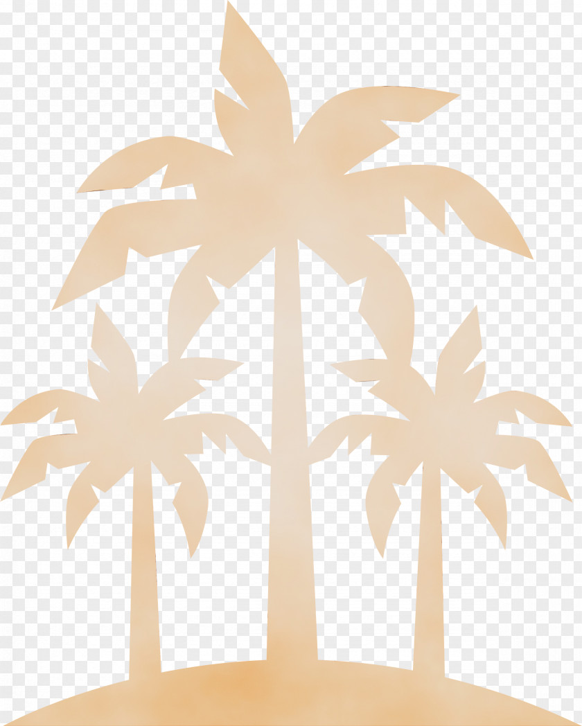 Palm Trees PNG