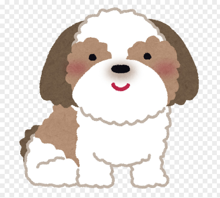 Shih Tzu Pekingese Boston Terrier Chihuahua Pug PNG