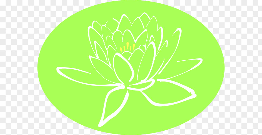 White Flower Branch Clip Art Petal Trefoil Sacred Lotus PNG