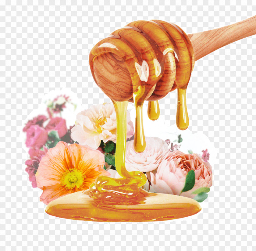 Bee Honeycomb Comb Honey Syrup PNG