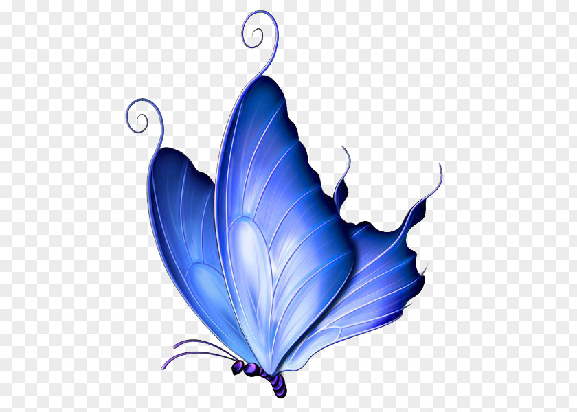 Blue Butterfly Pink Purple Clip Art PNG