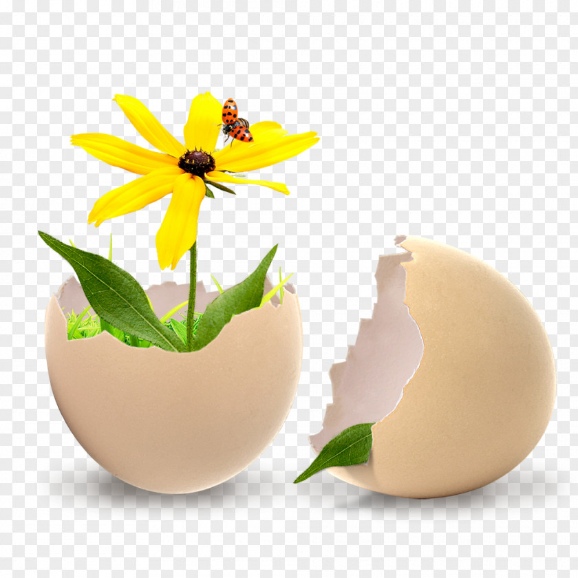Broken Egg Shell Chrysanthemum Free To Pull The Material Statue Of Liberty Eiffel Tower Poster PNG