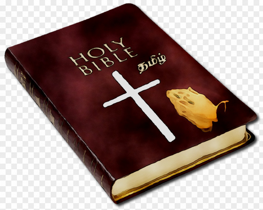 Catholic Bible Novum Testamentum Graece New International Version Religious Text PNG