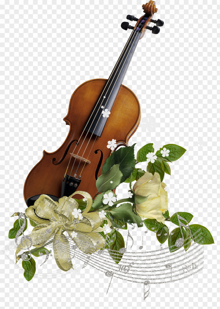 Decoration Violin Family Musical Instrument String Cello PNG