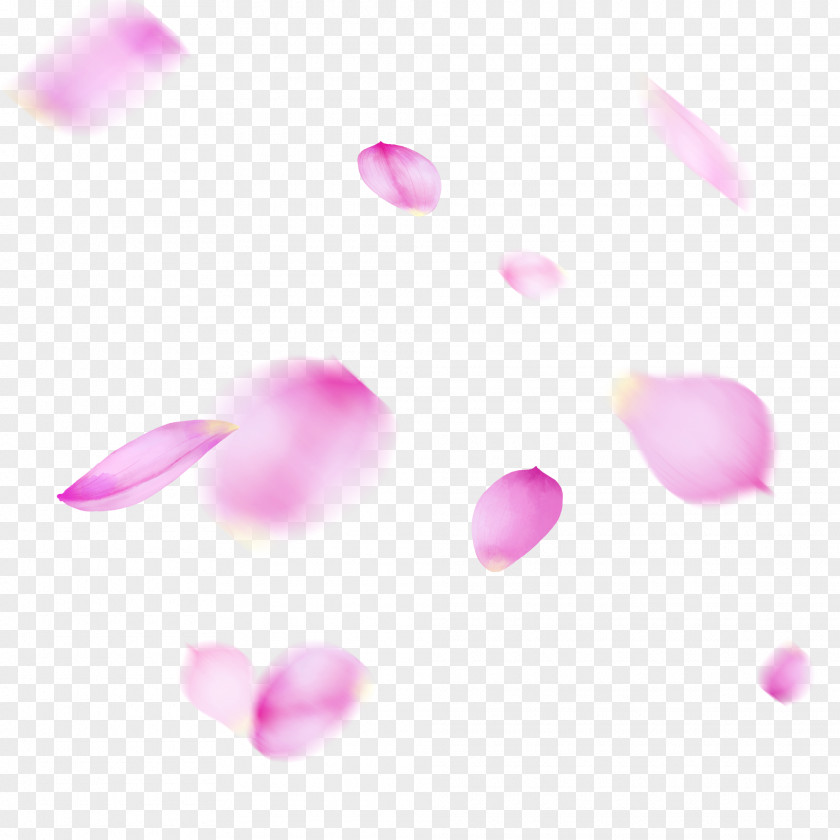 Flower Plant Pink Petal Violet Magenta Heart PNG