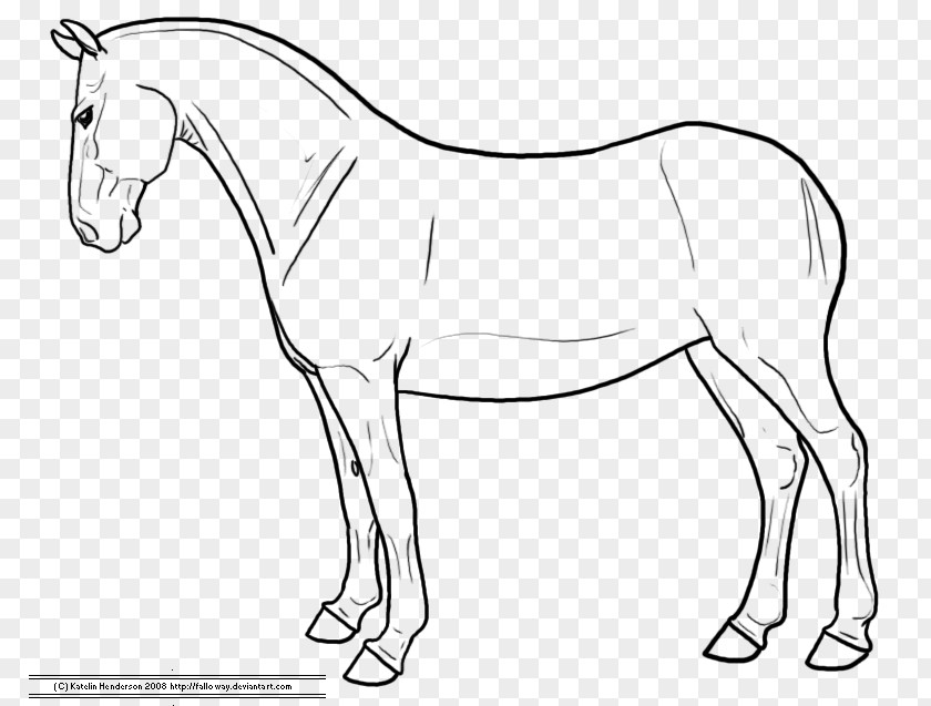 Standing Horse American Quarter Drawing How To Draw A Sketch PNG