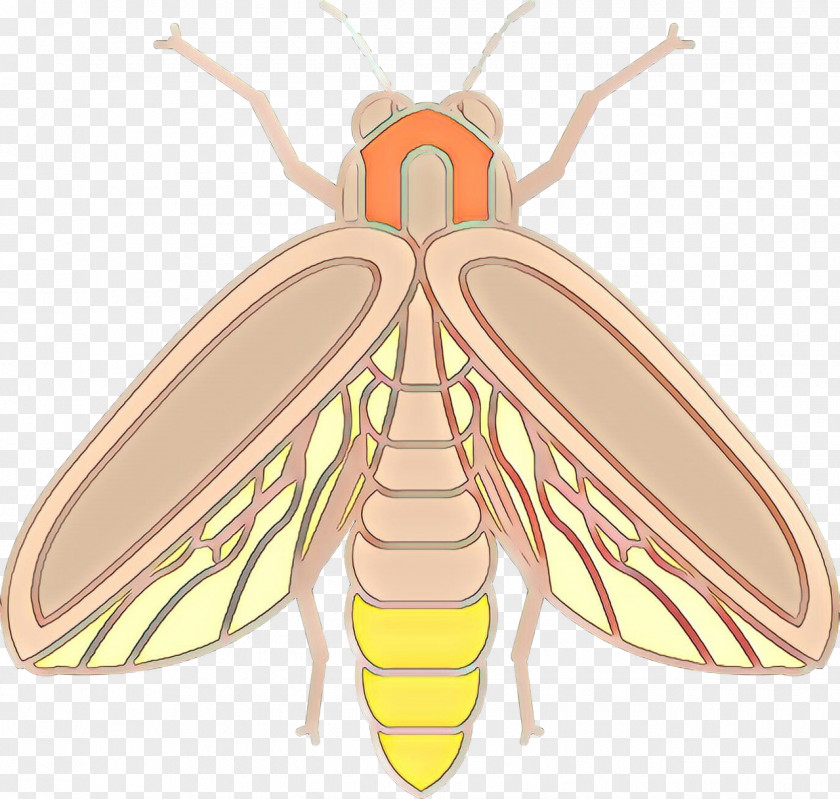 Wasp Honeybee Cartoon Bee PNG