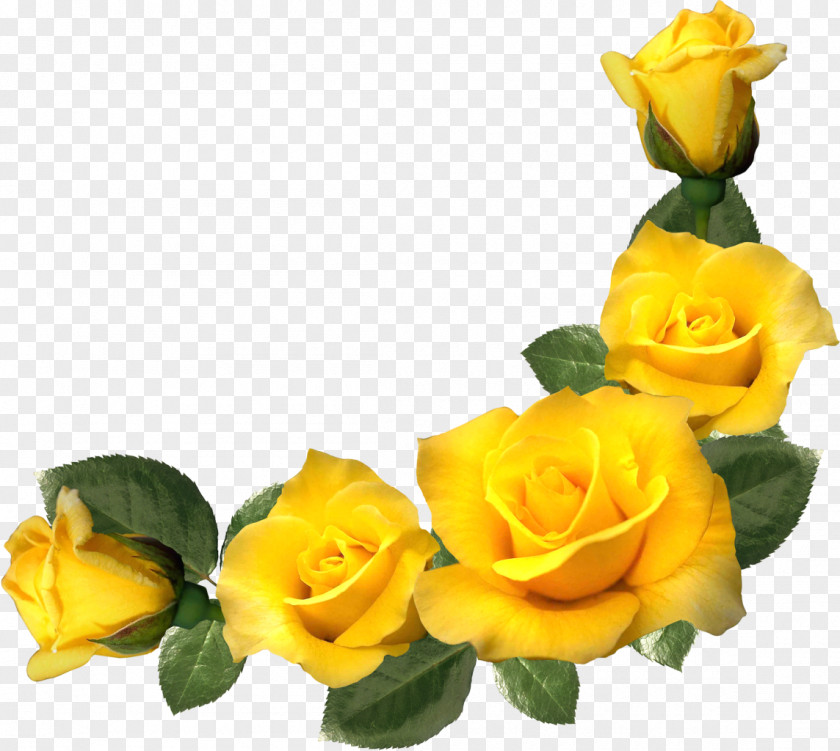 Yellow Rose Picture Frames Flower Clip Art PNG