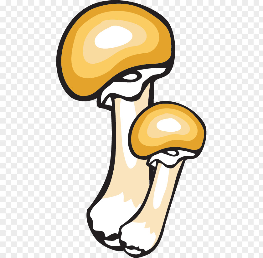 Edible Mushroom Pleurotus Cartoon PNG