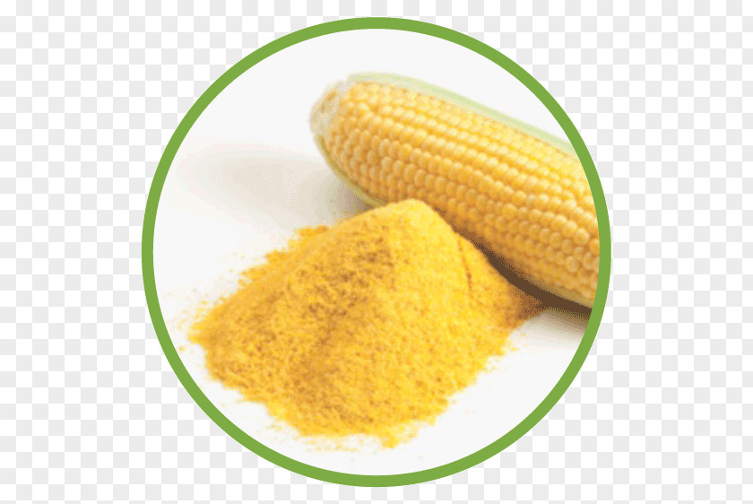 Flour Corn On The Cob Starch Cornmeal Maize PNG