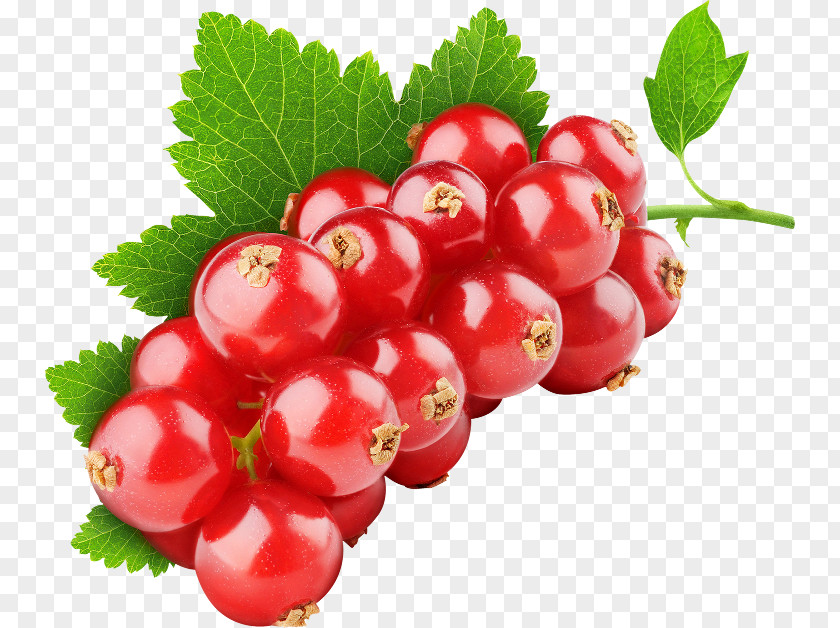 Fruit Tutti Frutti Red Mulberry Currant PNG