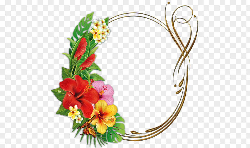 Tropical Frame Pregnancy Research Mother Pin PNG