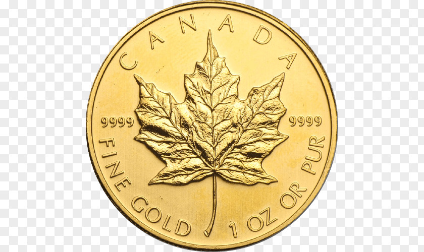 Canada Canadian Gold Maple Leaf Coin PNG