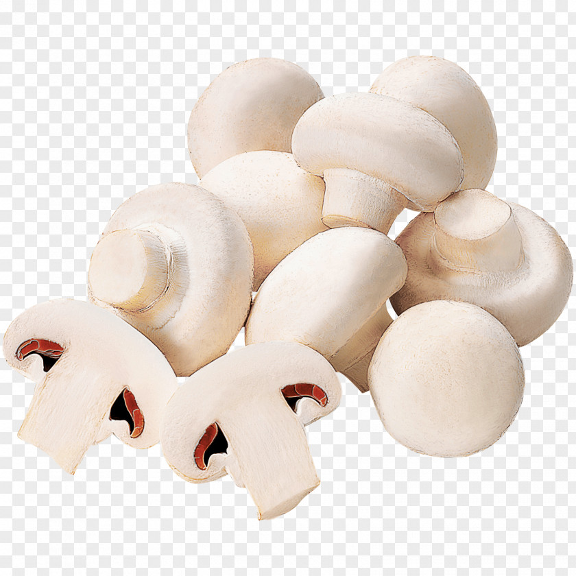 Common Mushroom REWE Filia Kaiserslautern DISCOUNTO GmbH PNG