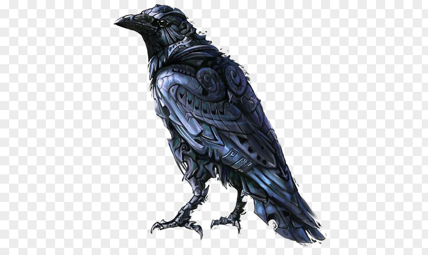 Crow Visual Arts Drawing Bird Illustration PNG