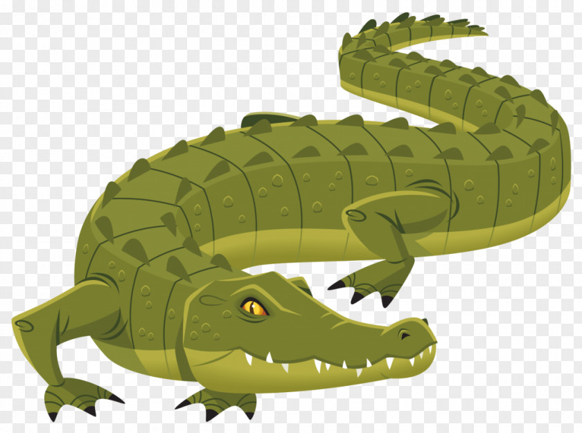 Alligator Nile Crocodile Crocodiles PNG