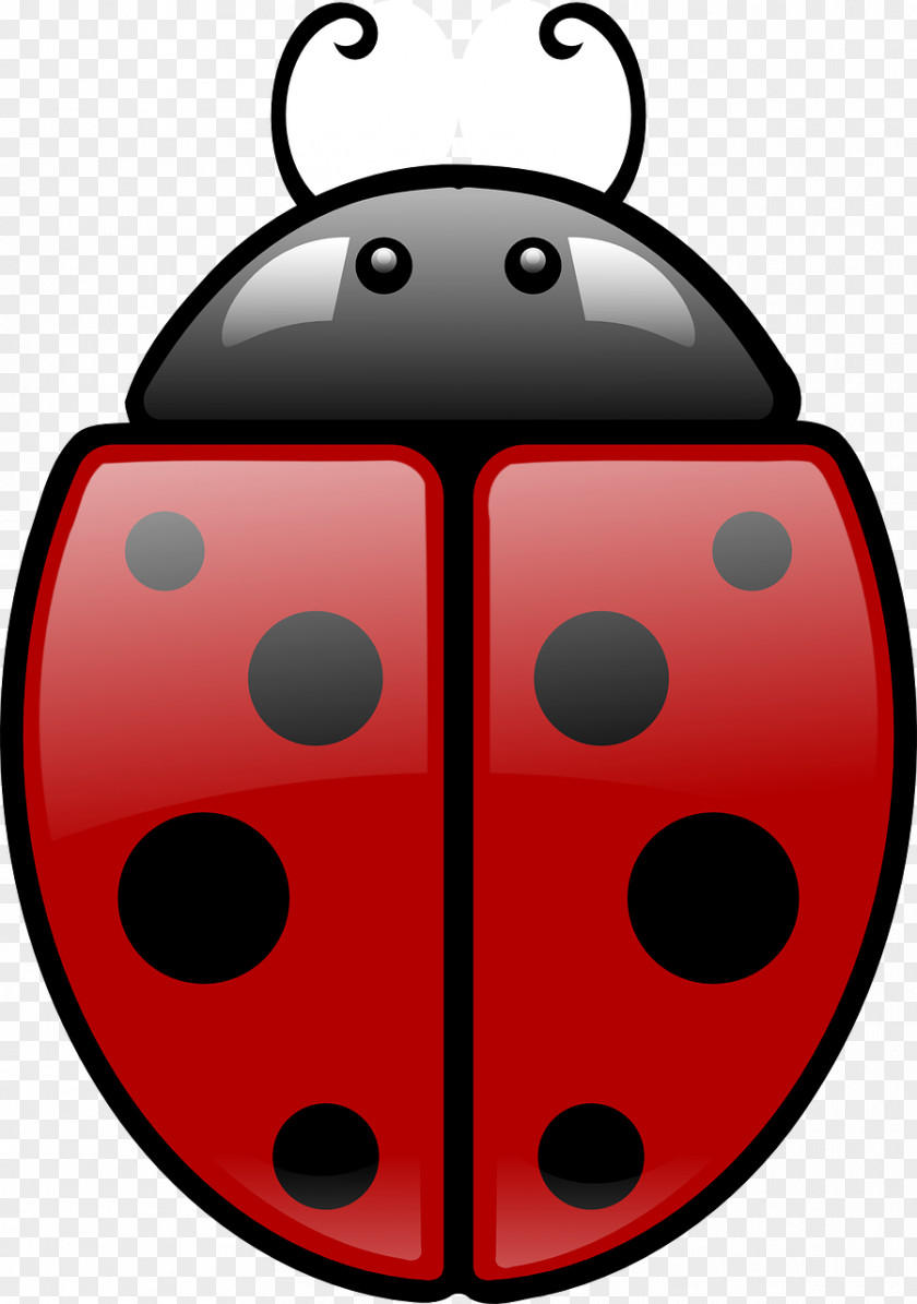 Beetle Ladybird Clip Art Image Openclipart PNG