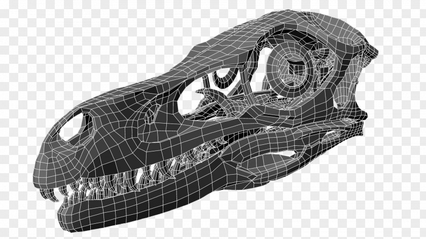 Design Reptile Automotive Car PNG