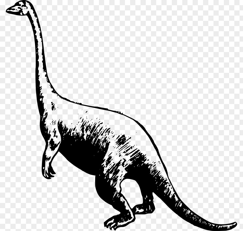 Dinosaur Tyrannosaurus Park Triceratops Apatosaurus Velociraptor PNG