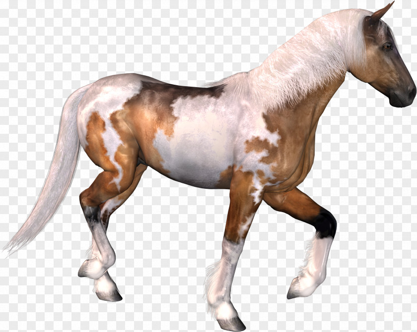Headless Horseman Horse Pack Animal PNG