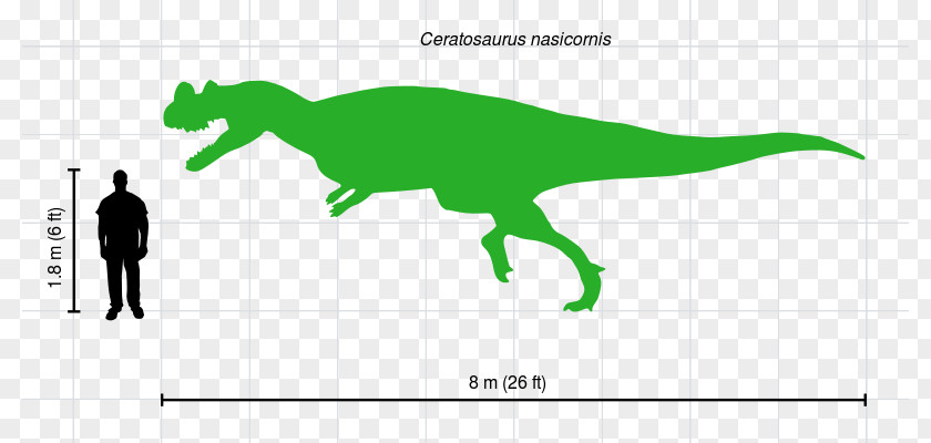 Human Hand Ceratosaurus Allosaurus Carnotaurus Tyrannosaurus Morrison Formation PNG