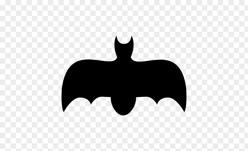 Vampire Bat Flight PNG