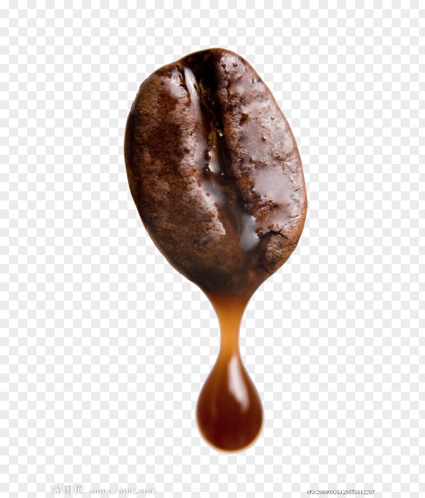 Coffee Arabica Robusta Bean Brewed PNG