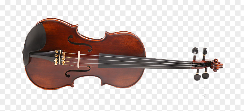 Germany And The United States Because Of Handmade Tiger Violin Stock Photography Royalty-free PNG
